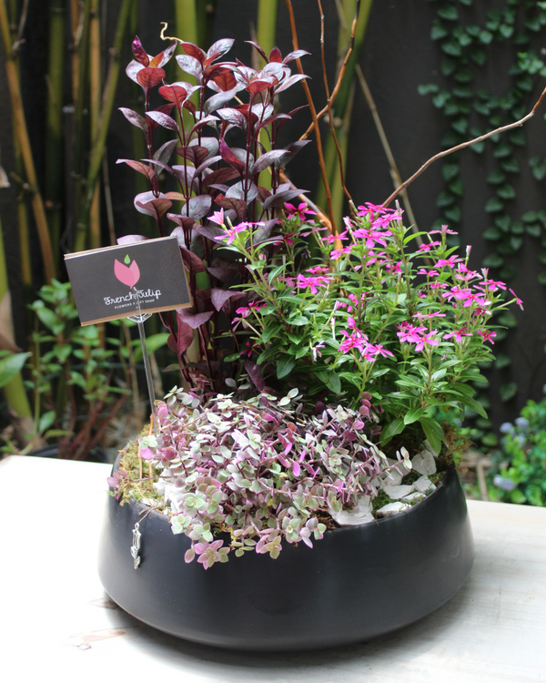 3 Plants Base 12"
