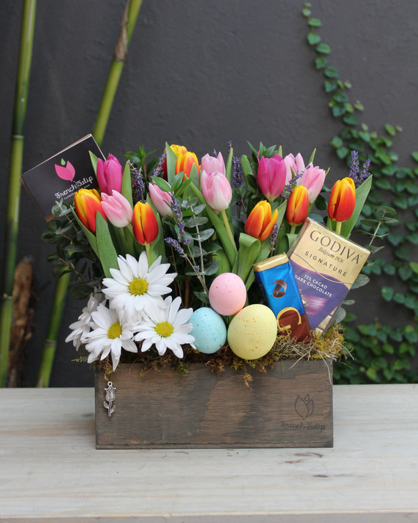 Easter Tulip Garden | 5x10