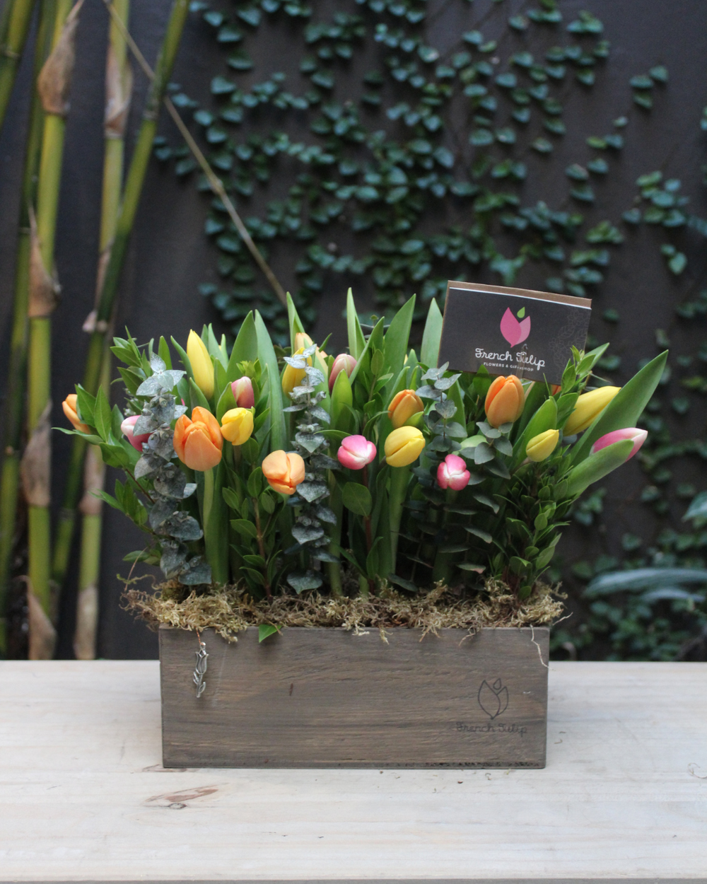 Tulip Garden 5x10