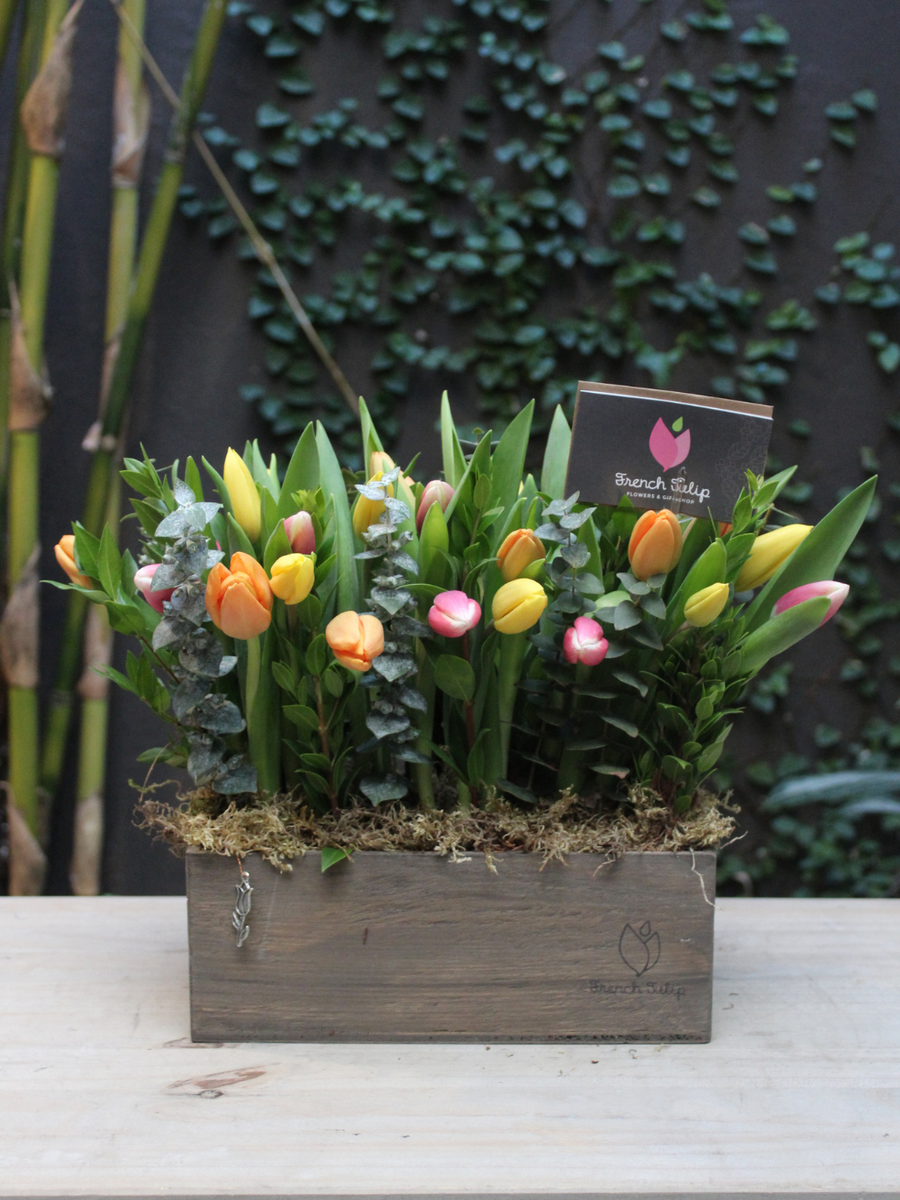 Tulip Garden 5x10