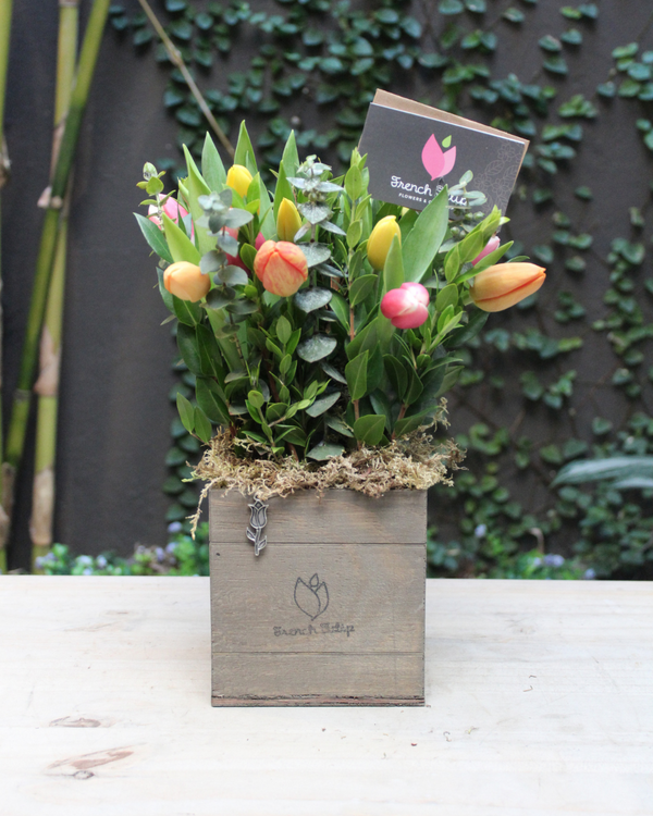 Tulip Garden 5x5