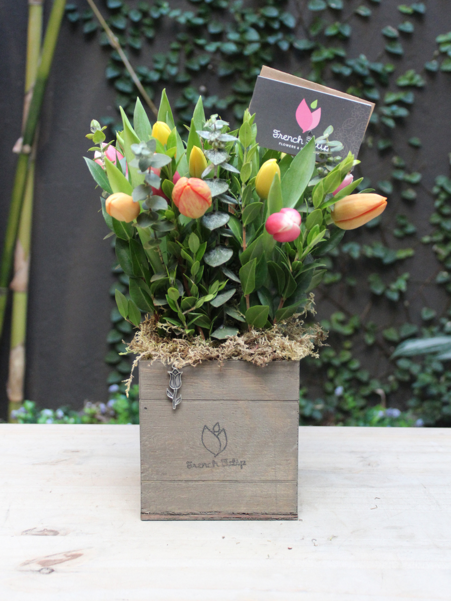 Tulip Garden 5x5