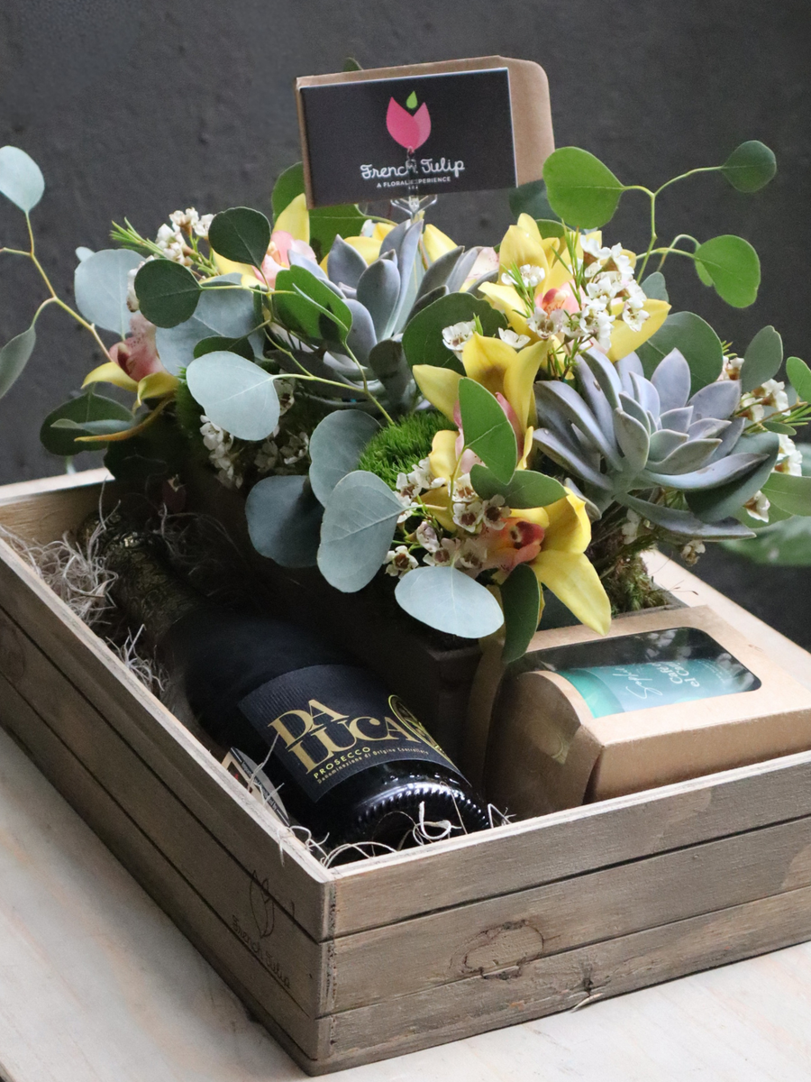 Gentle Harvest with Free Bottle & Sophie Co Candle