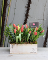 Tulip Garden 5x10