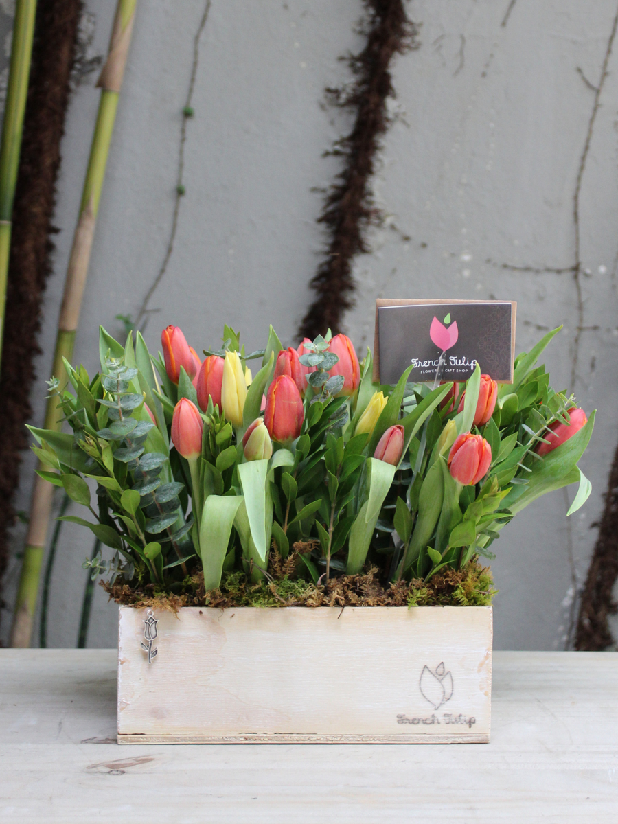 Tulip Garden 5x10