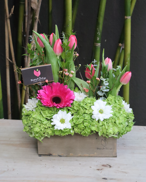 Bloomin’ Lush