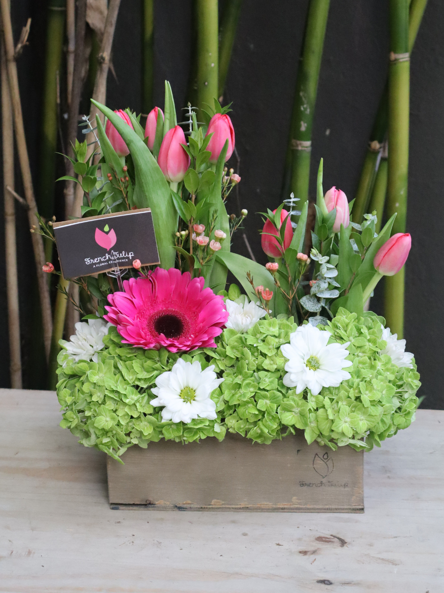 Bloomin’ Lush