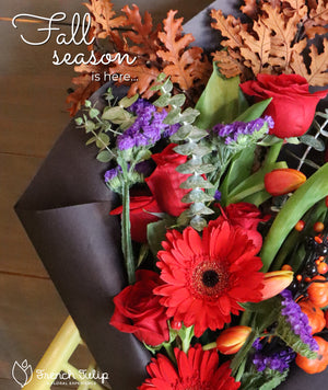 Autumn Picks