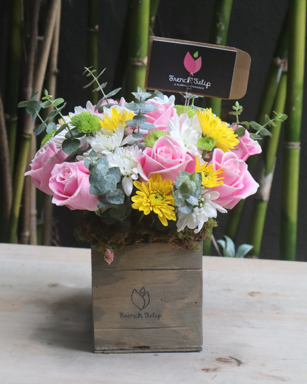 Garden Delight