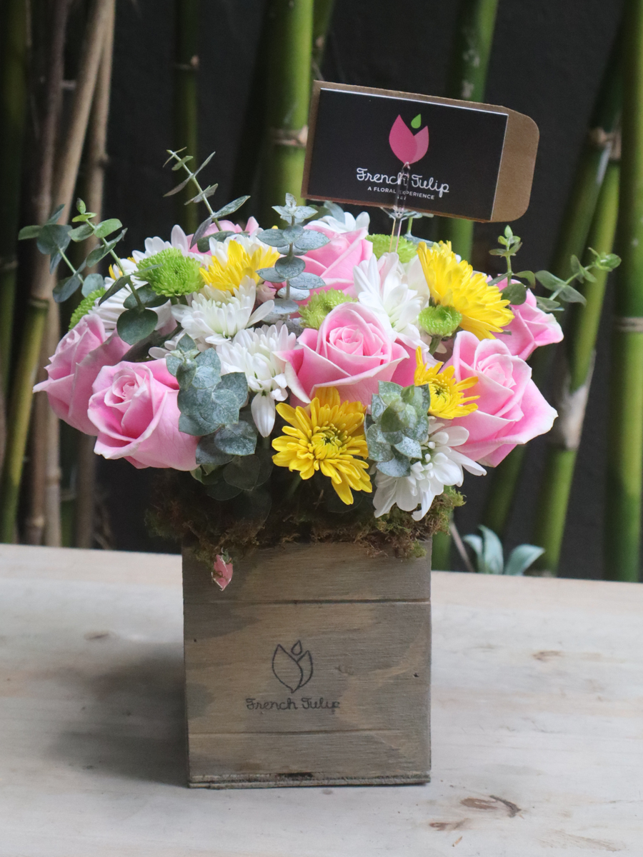 Garden Delight