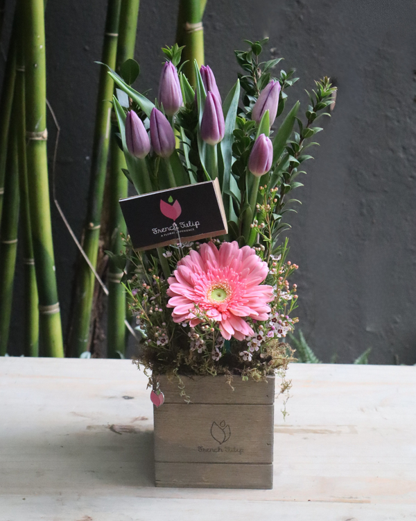 Fresh Bloom Kiss