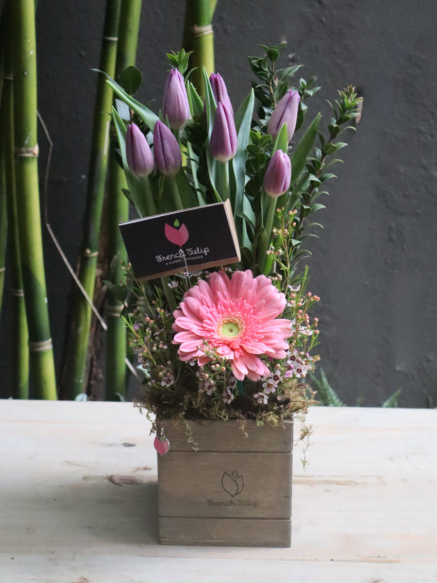 Fresh Bloom Kiss