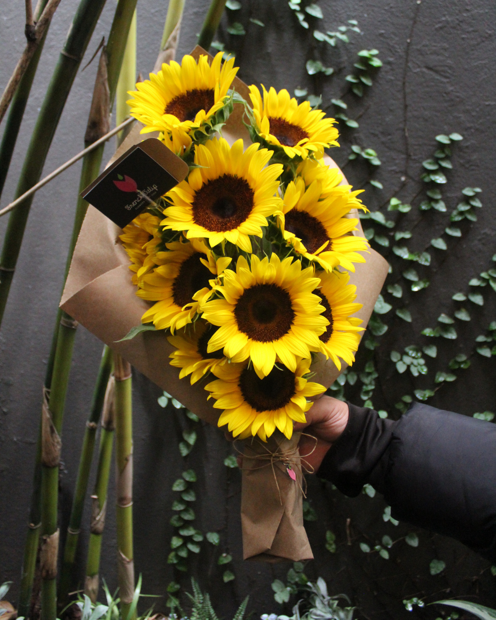 Sunny Obsession (12 Sunflowers)