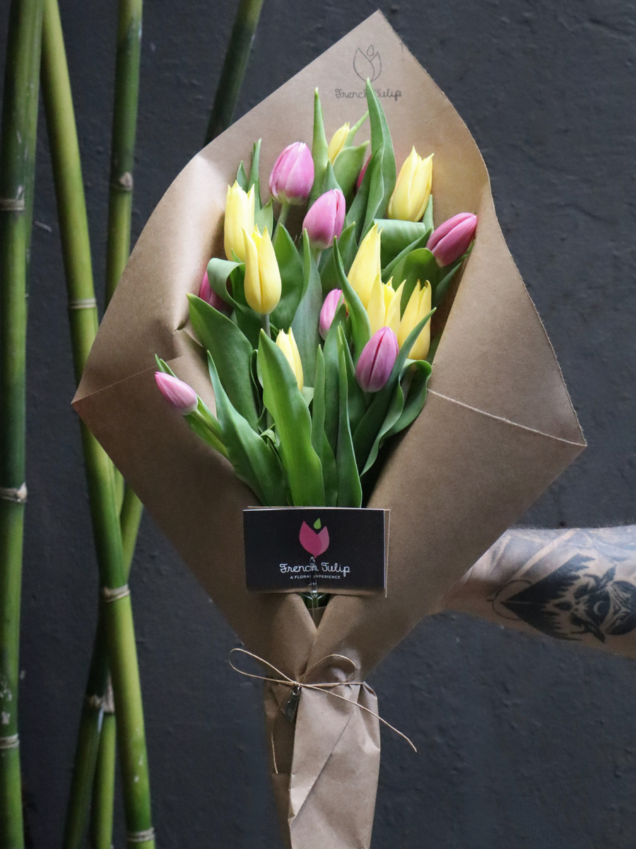 Tulip Love