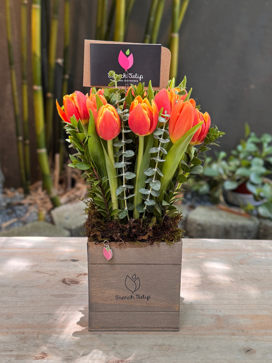 Tulip Garden 5x5