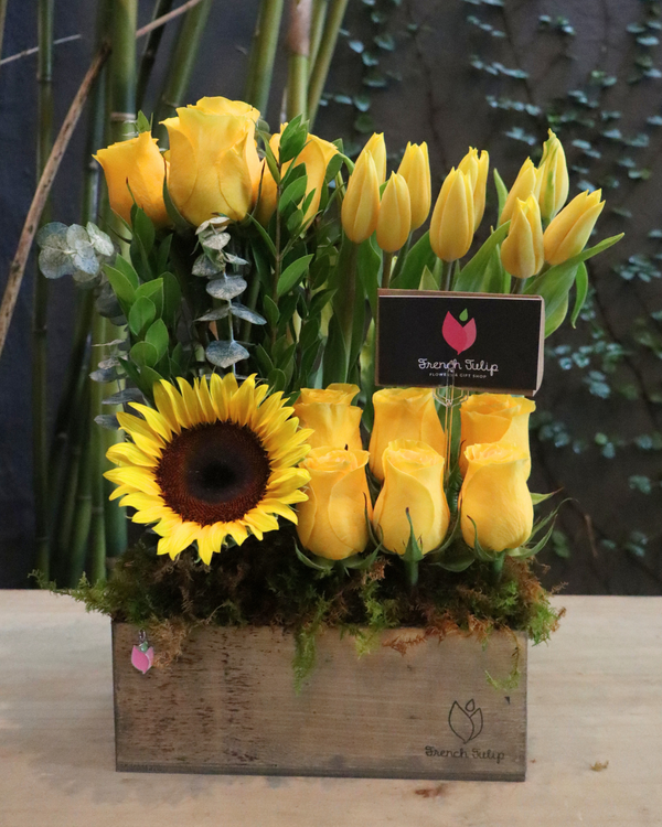 Secret Garden - Yellow (Pre-order)