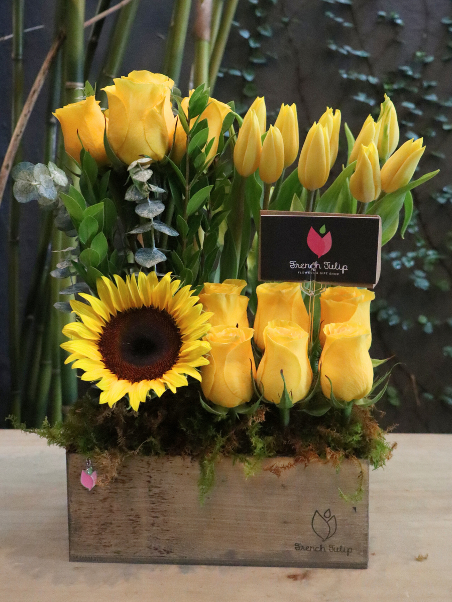 Secret Garden - Yellow (Pre-order)