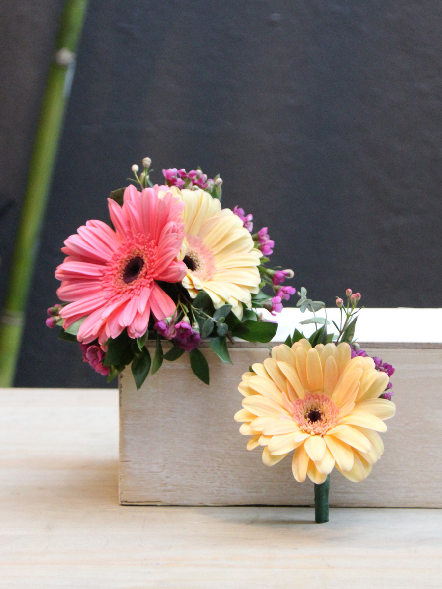 Gerbera Corsage & Boutonniere