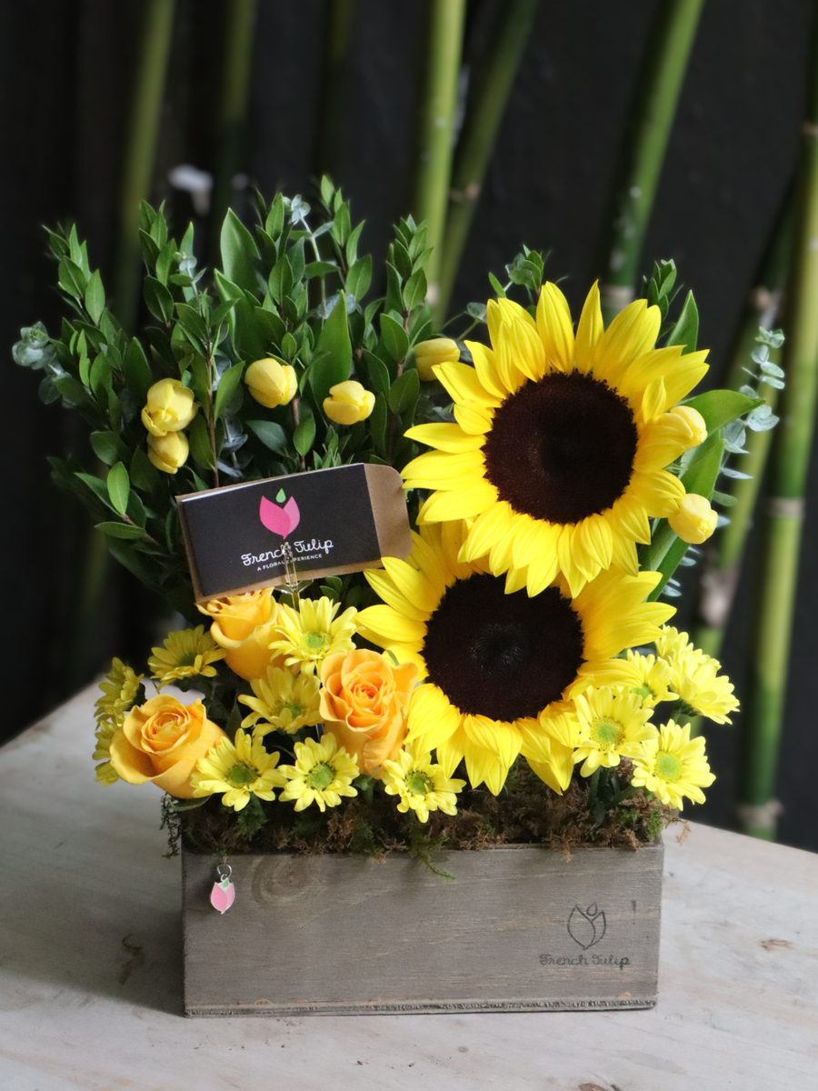 Golden Joy | Yellow Version (Pre-Sale)