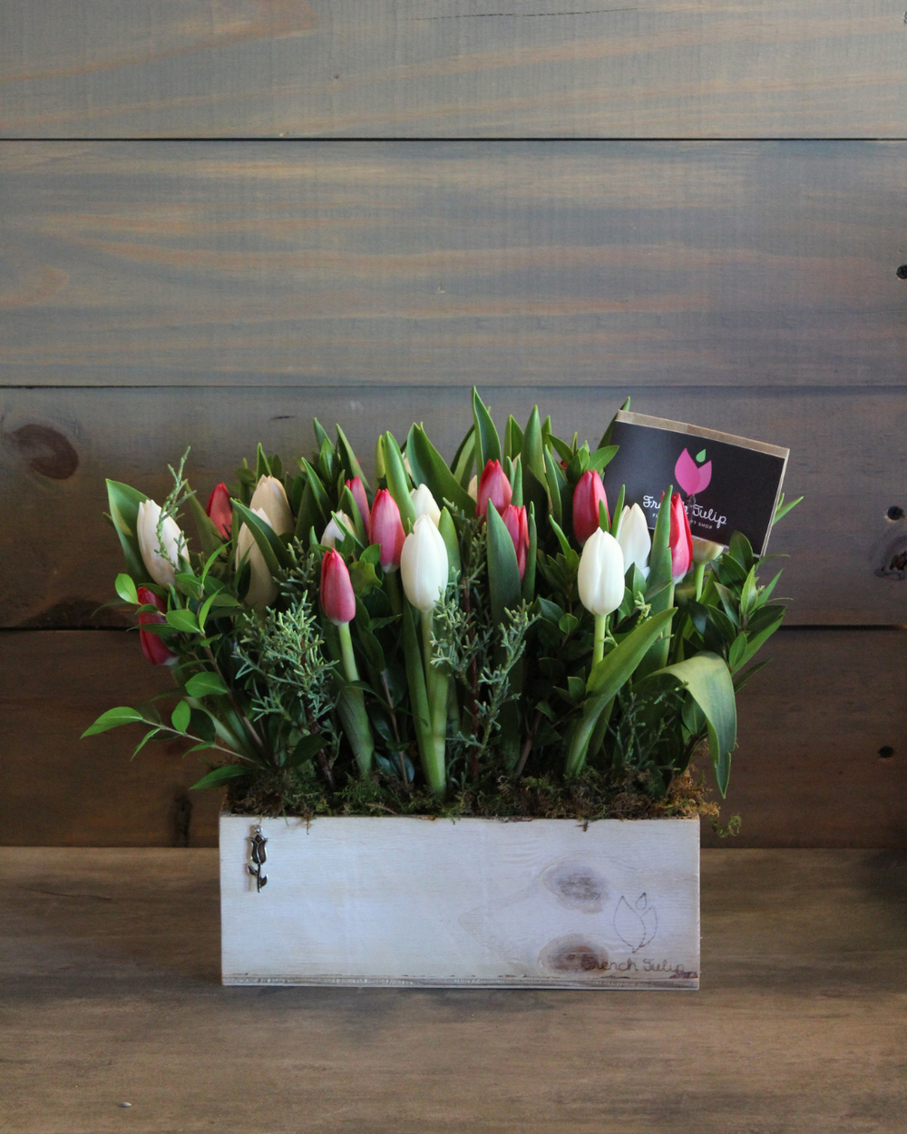 Tulip Garden 5x10