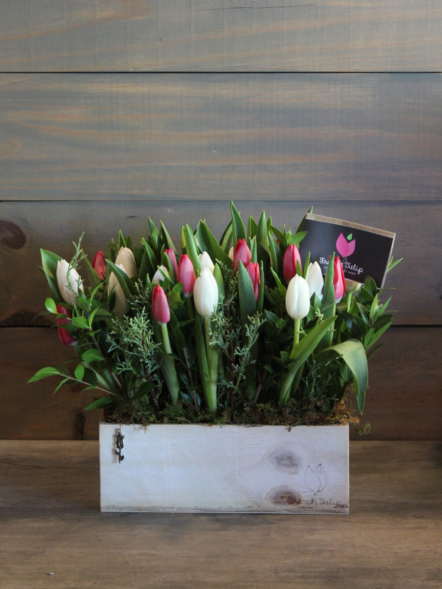 Tulip Garden 5x10