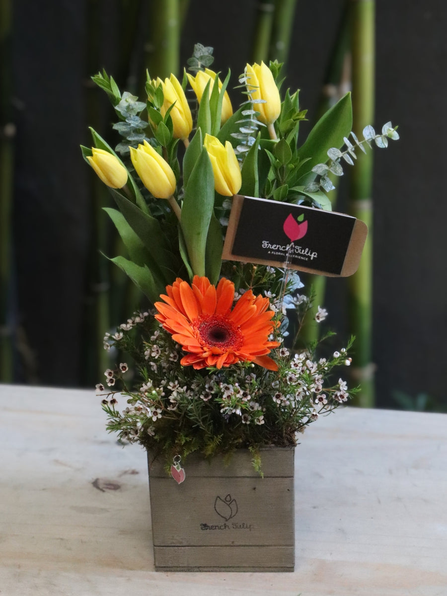 Fresh Bloom Kiss