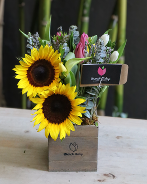 Endless Sunshine | Limited Edition