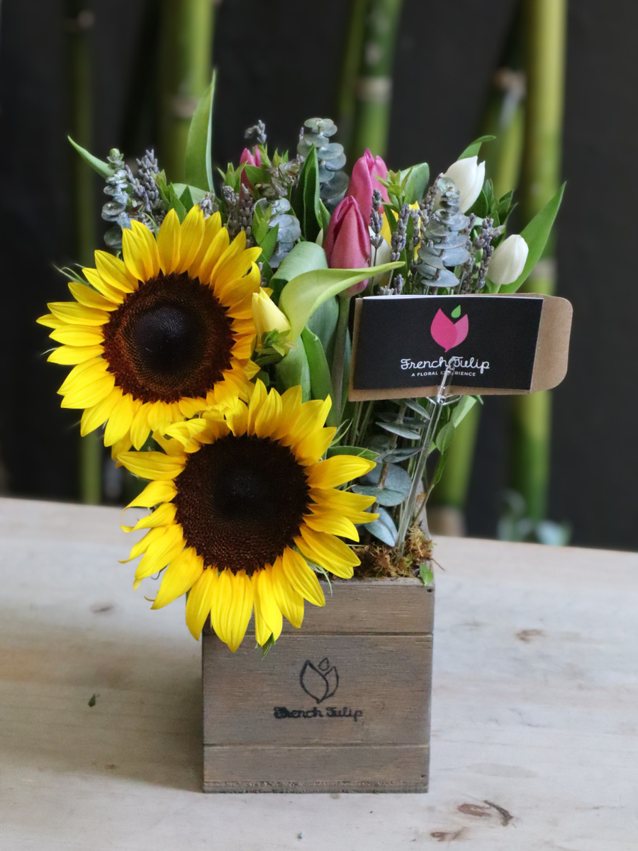 Endless Sunshine | Limited Edition