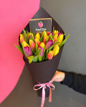 Tulip Obsession Deluxe