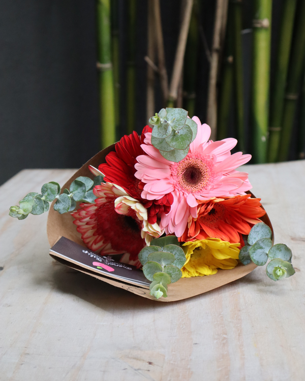 Margarita Blooms