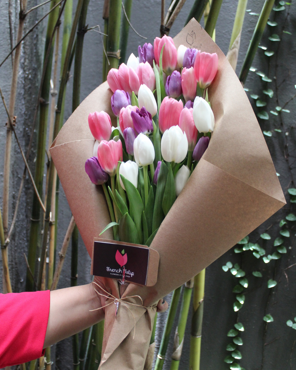 Tulip Obsession (30 Tulips)