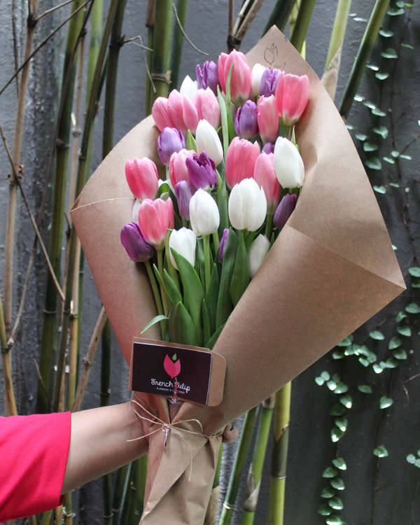 Tulip Obsession (30 Tulips)