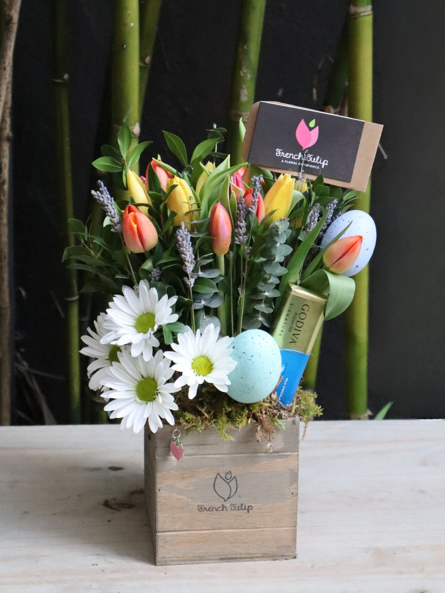 Easter Tulip Garden | 5x5