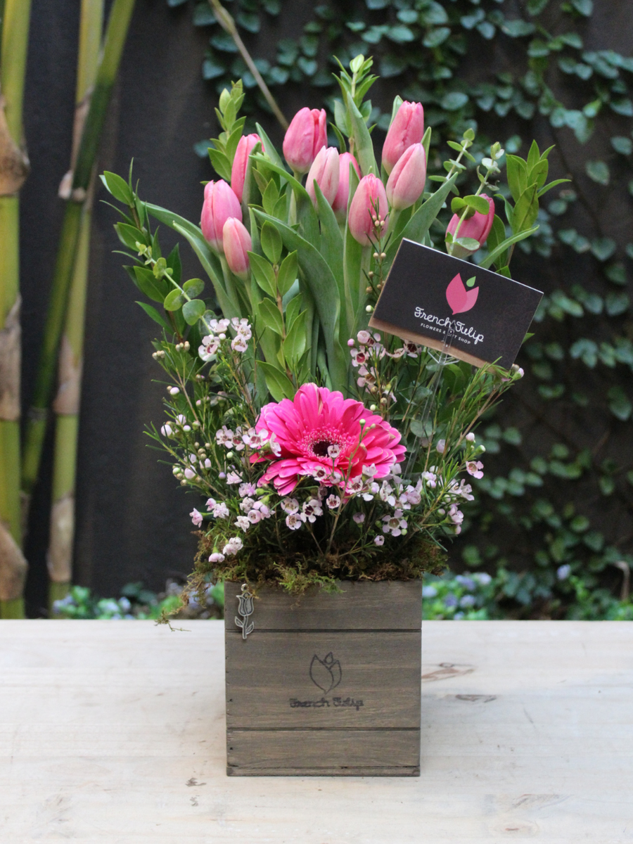 Fresh Bloom Kiss