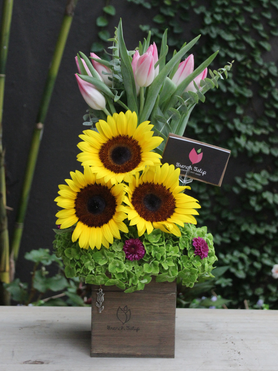 Good Morning Sunshine!