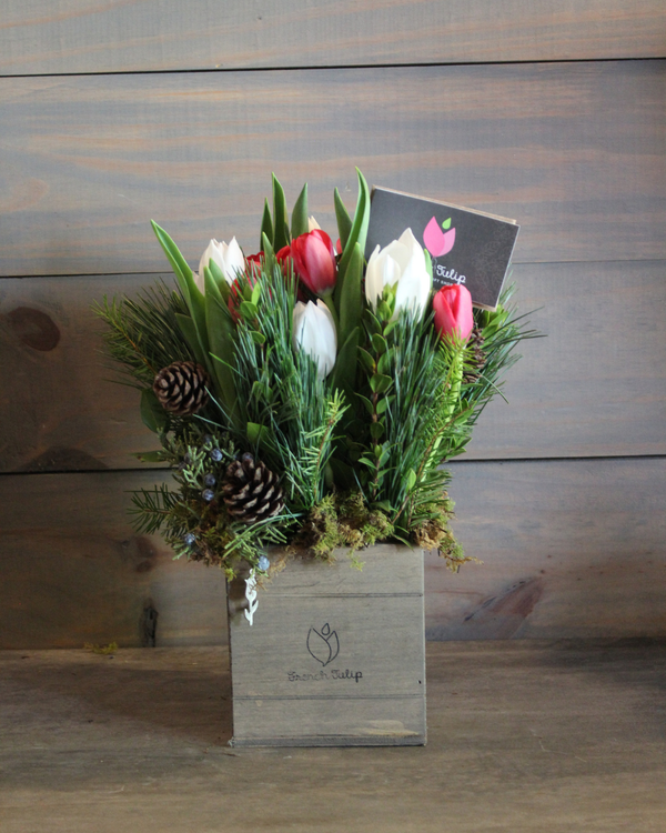 Xmas Tulip Garden | 5x5