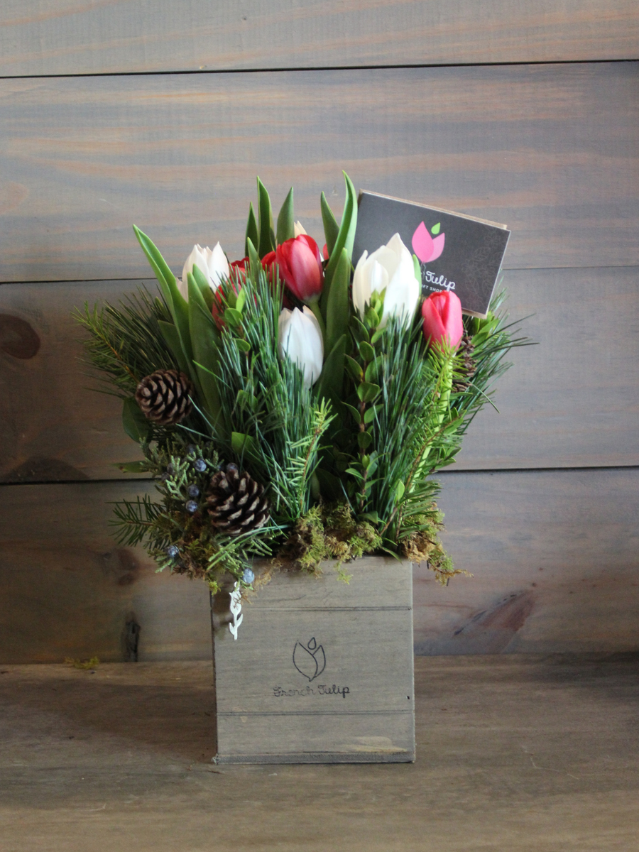 Xmas Tulip Garden | 5x5