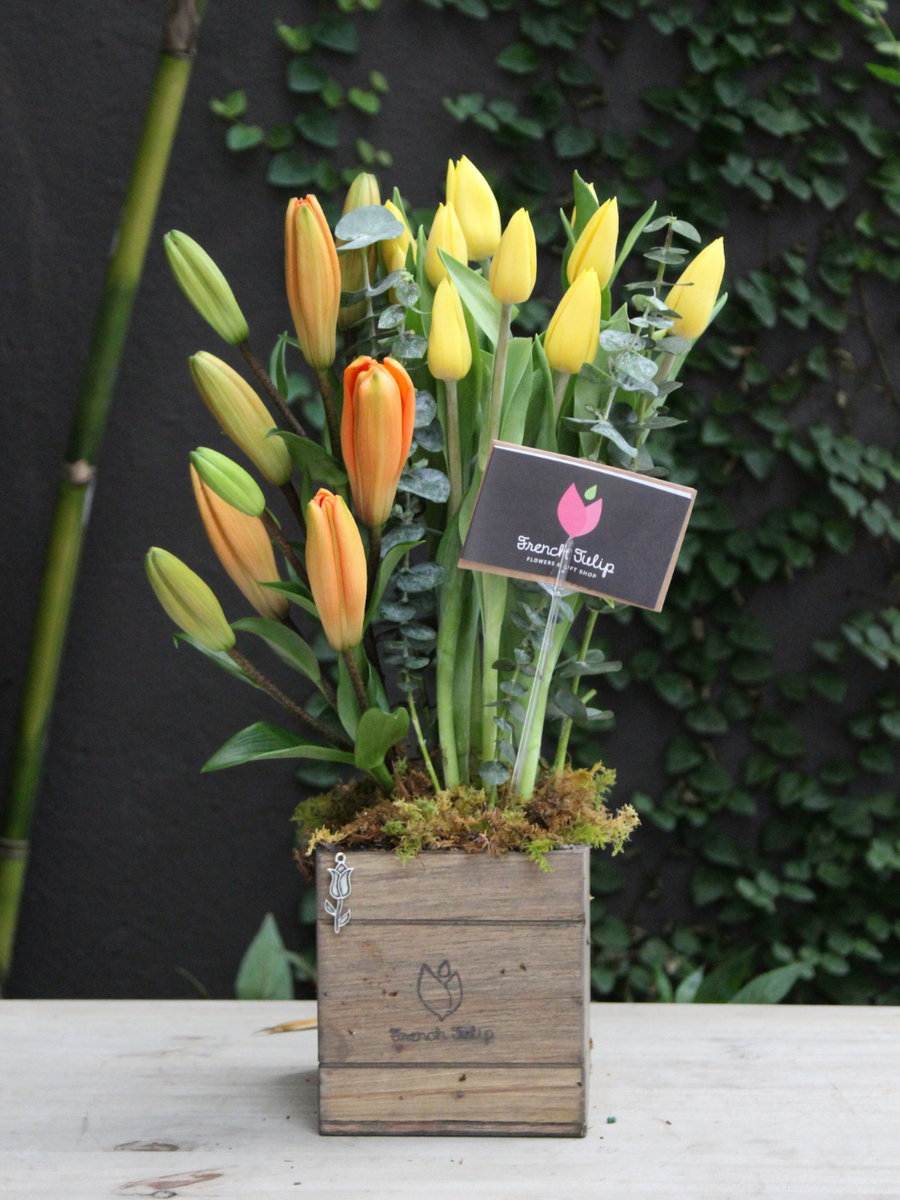 Unforgettable Blooms
