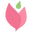 logo of Puerto Rico florist - Flower delivery and the best Flower arrangements
			
				– French Tulip