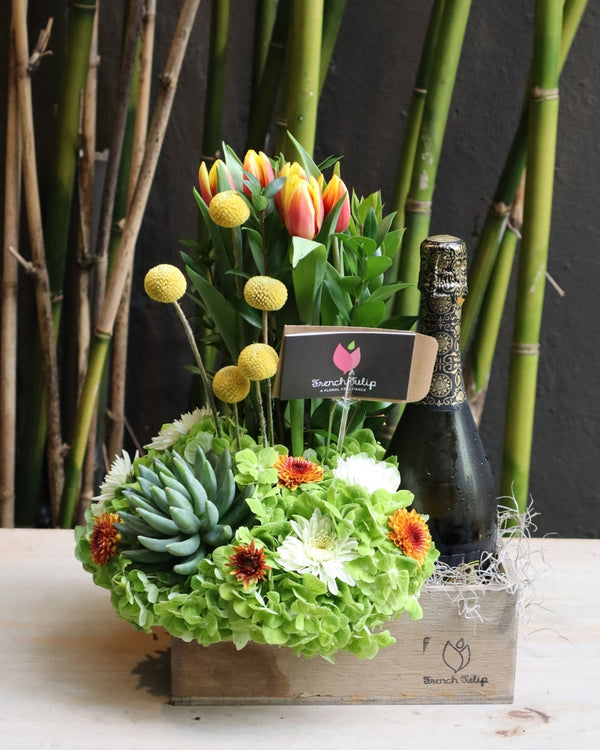 Refreshing Spark With Free Bottle