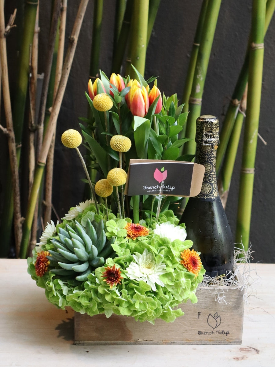 Refreshing Spark With Free Bottle