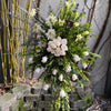Sympathy & Funeral